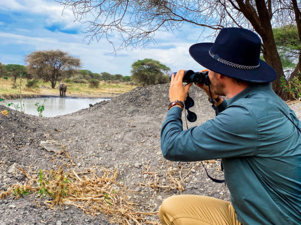 Safari Tanzânia