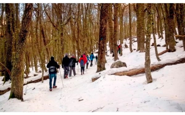 Trekking Laguna Esmeralda - Inverno - Ushuaia - Image 6