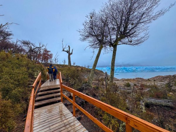 Glaciar Perito Moreno Mini trekking - El Calafate - Image 8