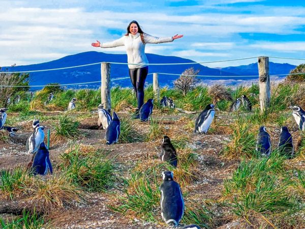 Pinguinera Terrestre -  Ushuaia - Image 7