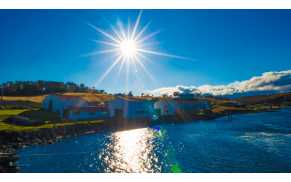 Navegação Pinguinera -  Ushuaia - Imagem 6