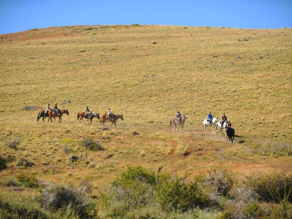 Cerro Frias Cavalgada - El Calafate - Imagem 4