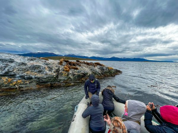 Puerto Almanza com Pinguins - Ushuaia - Image 7
