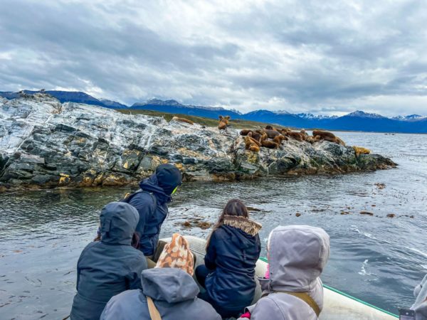 Puerto Almanza com Pinguins - Ushuaia - Image 6