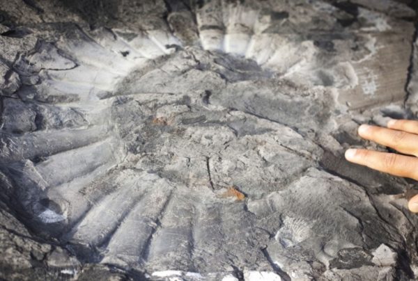 Estância Cristina Trekking- El Calafate - Imagem 7