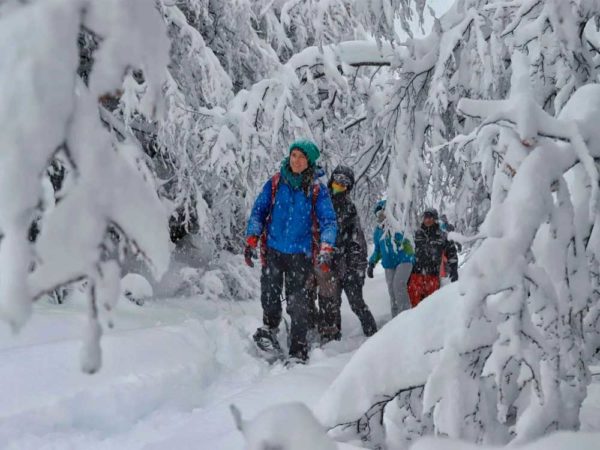 Refúgio Roca Negra - Caminhada com Raquetes de Neve - Image 3