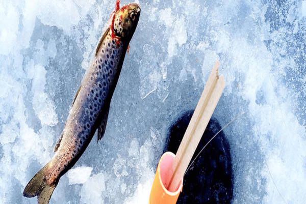 Sauna Trip com Pesca e Natação no Gelo - Imagem 5