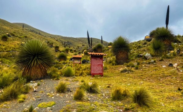 Base Nevado Pastoruri - Image 8
