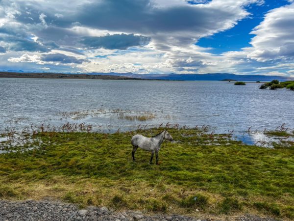 City Tour El Calafate - Paisagens e Sabores - Imagem 7
