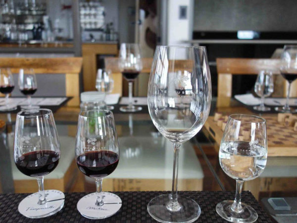 Bodegas Luján e Maipú - Full Day