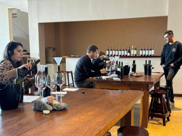 Vinhos e Azeites em Maipú - Image 8