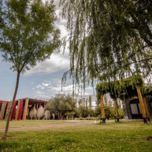 Catena Zapata & El Enemigo