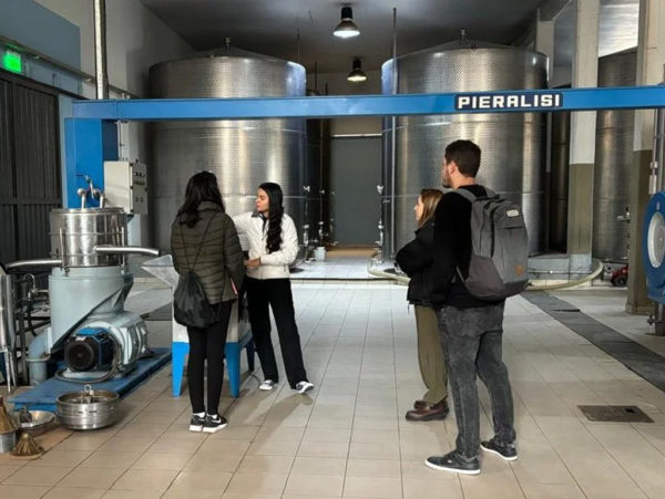 Vinhos e Azeites em Maipú - Image 7