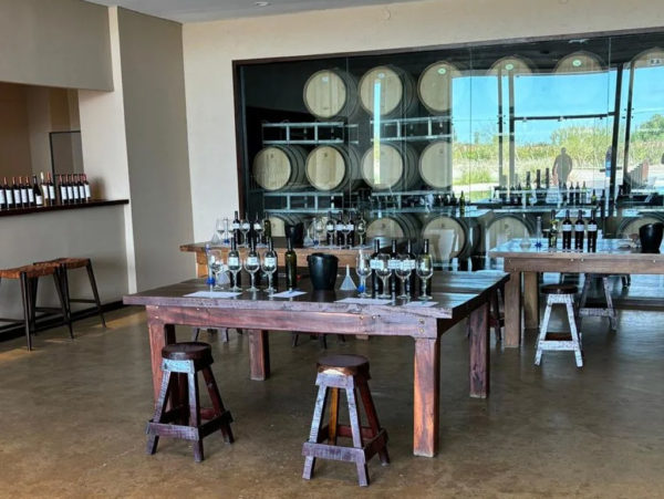 Vinhos e Azeites em Maipú - Image 6