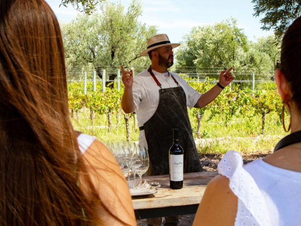 Bodega Luigi Bosca – Finca El Paraíso - Experiência Canastra - Image 5
