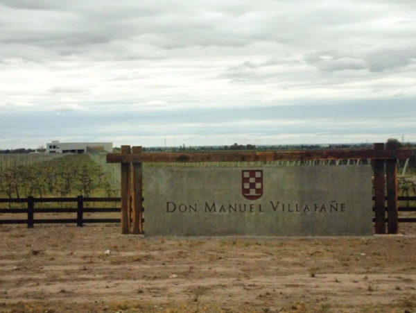 Vinhos e Azeites em Maipú - Image 5