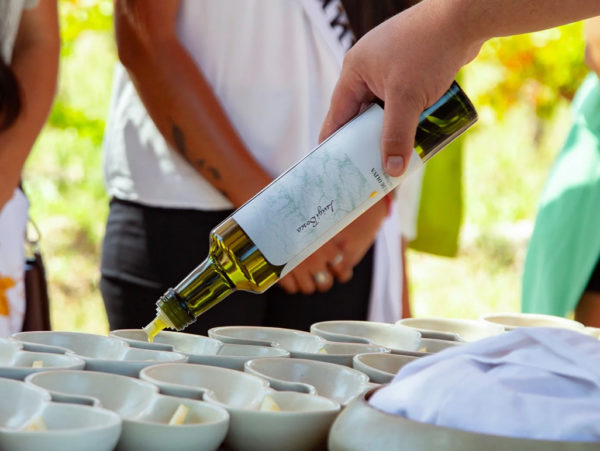 Bodega Luigi Bosca – Finca El Paraíso - Experiência Canastra - Image 7