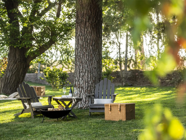 Bodega Luigi Bosca – Finca El Paraíso - Experiência Canastra - Image 8