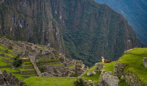 Vale Sagrado dos Incas + Maras Moray - Privado