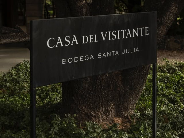 Vinícola Trapiche e Santa Julia com Criança - Image 5