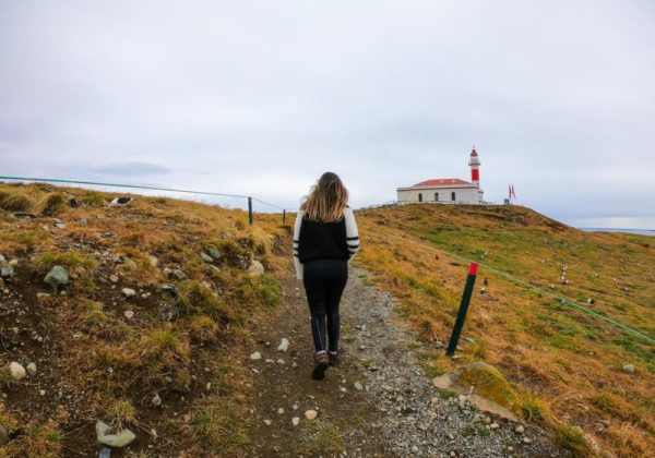 Navegação Ilha Magdalena + Caminhada com Pinguins - Imagem 5