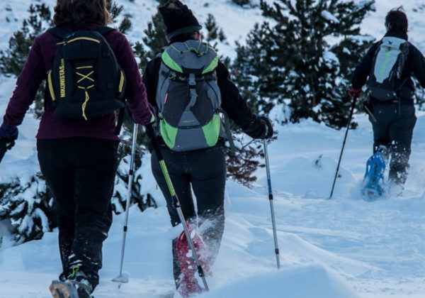 Caminhada com Raquetes de Neve La Parva - Image 3