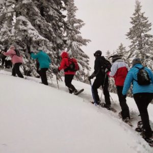 Caminhada com Raquetes de Neve La Parva