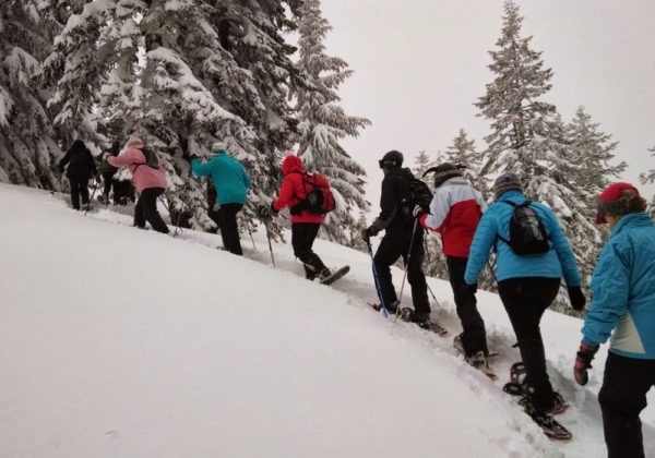 Caminhada com Raquetes de Neve La Parva