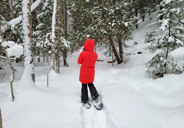 Caminhada com Raquetes de Neve La Parva - Image 4