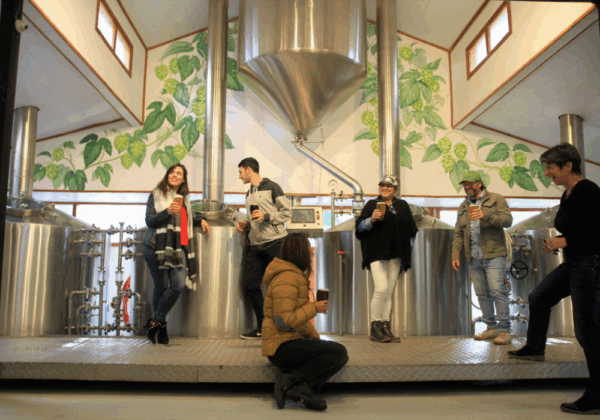 beer experience