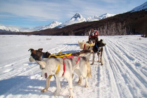 Passeio de Trenó com Cães - Imagem 2