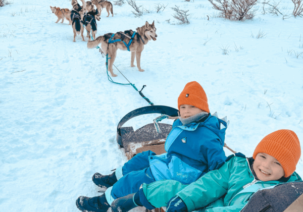 Pacote Inverno Ushuaia + El Calafate - 9 dias e 8 noites - Imagem 4